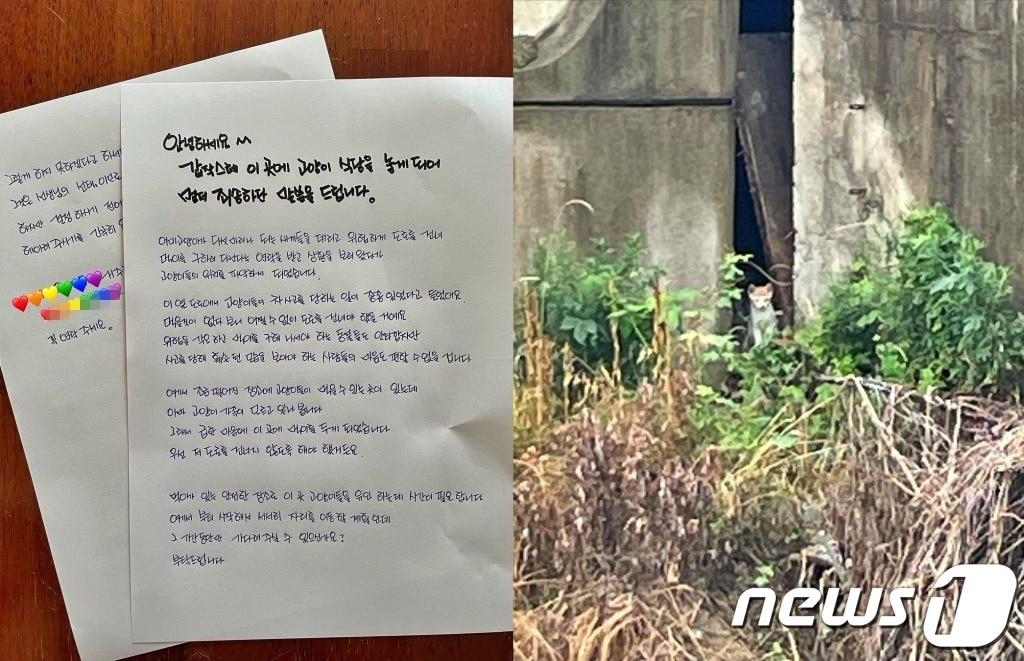 본문 이미지 - 충남 천안시에 사는 캣맘 A씨가 남긴 손편지(인스타그램 갈무리) ⓒ 뉴스1