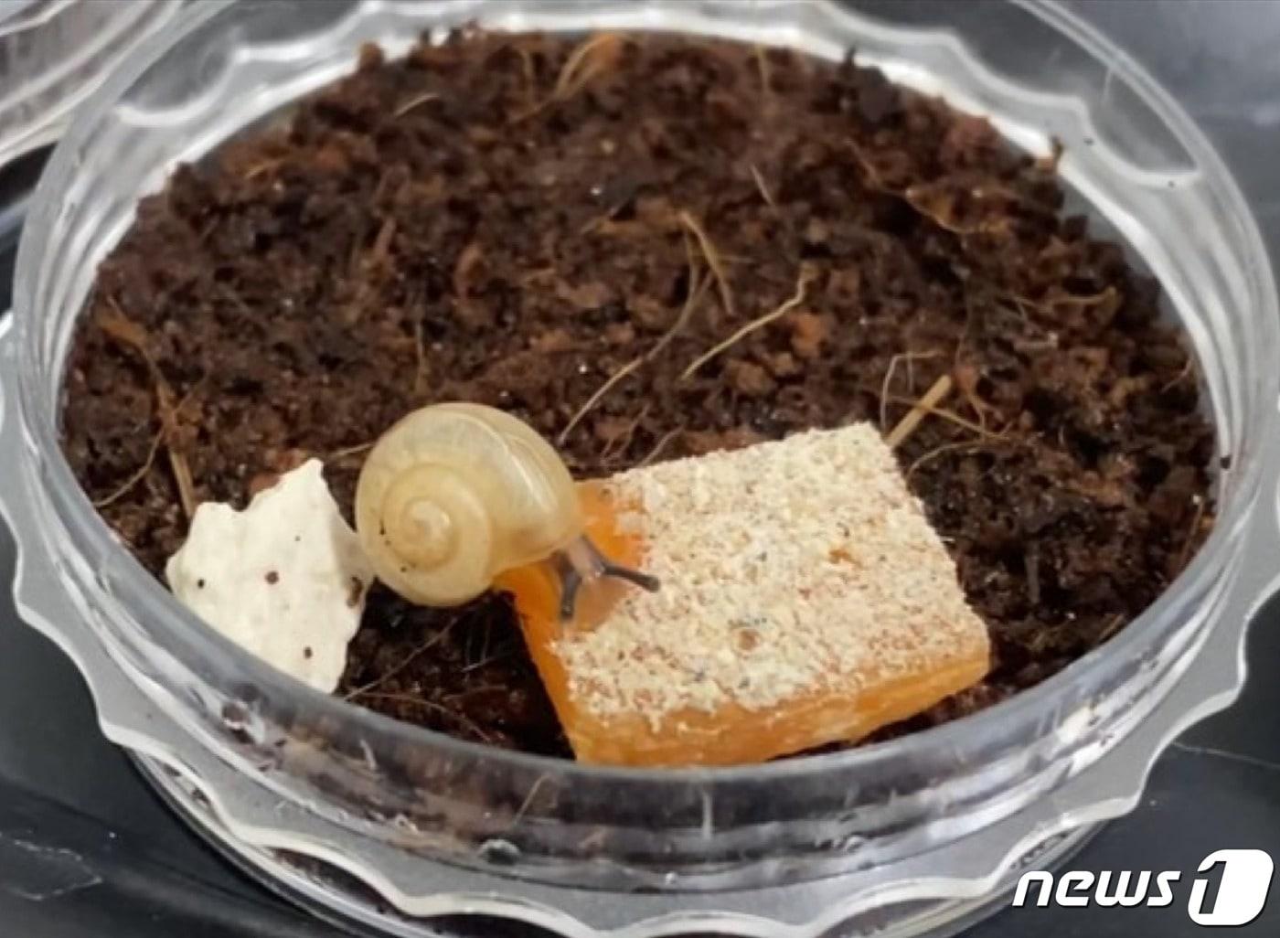 본문 이미지 - (환경부 제공) ⓒ 뉴스1