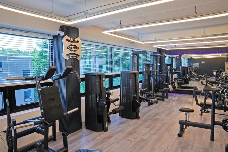 본문 이미지 - ⓒ 뉴스1