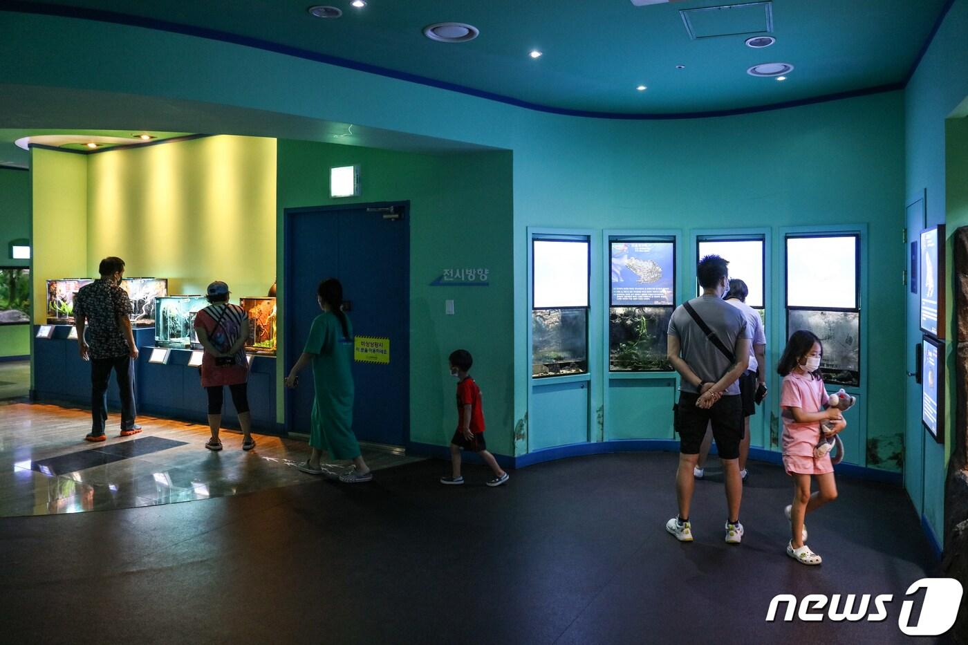 단양 다누리아쿠아리움이 여름 휴가철을 맞아 관광객들이 크게 몰리면서 인기를 끌고 있다.ⓒ 뉴스1