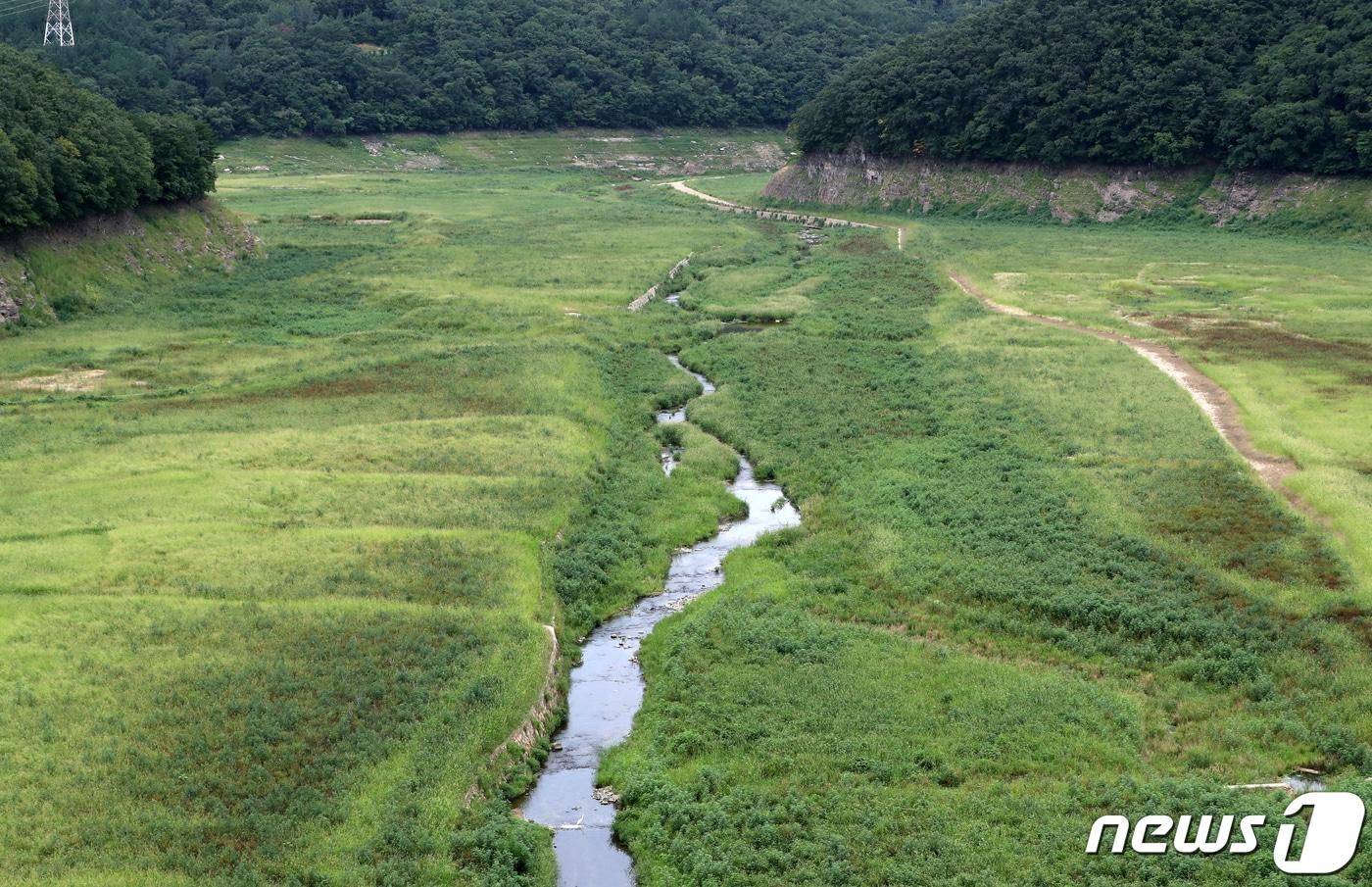 본문 이미지 - 바닥 드러낸 울산 울주군 대곡댐 상류. 2022.8.11 ⓒ 뉴스1 DB 윤일지 기자