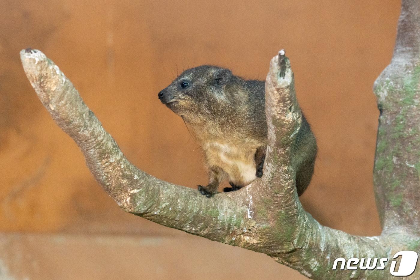 (서울시설공단 제공) ⓒ 뉴스1