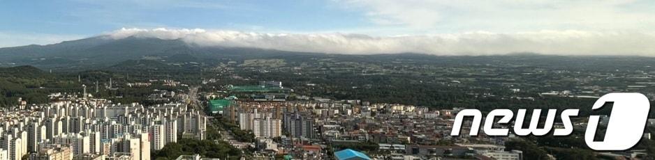 본문 이미지 - 제주 도심 전경ⓒ News1