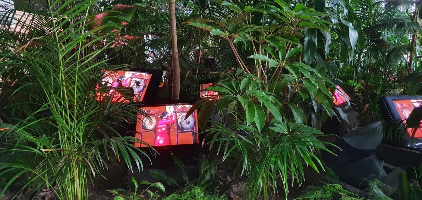 백남준아트센터에 상설 전시중인 'TV정원' / 사진제공=조성관 작가 