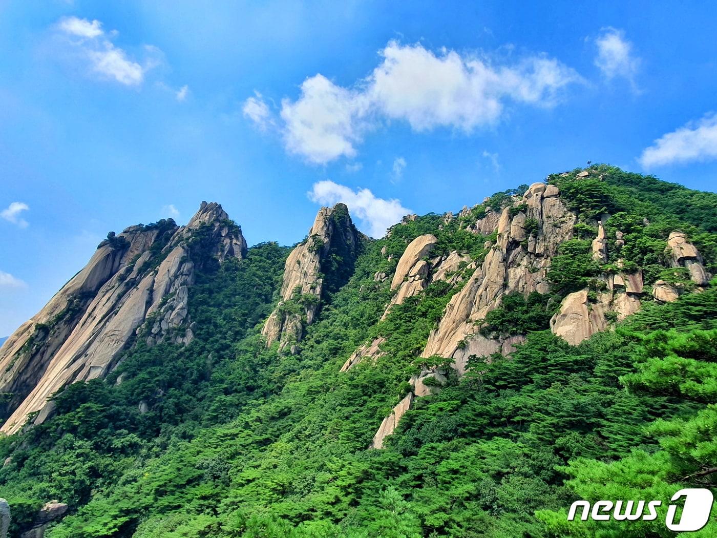 본문 이미지 - 도봉산 정상의 위용. 왼쪽에 선인봉-만장봉, 가운데 자운봉, 오른쪽은 포대능선 정상