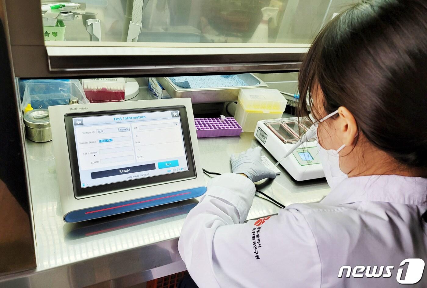 본문 이미지 - 광주시 보건환경연구원 소속 연구원이 축산물 위생 검사를 실시하고 있다.(광주시 제공)2022.8.18/뉴스1 ⓒ News1 