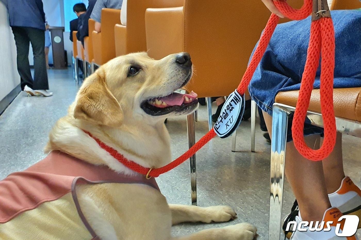 본문 이미지 - 건국대학교와 현대자동차는 18일 서울 광진구 건국대에서 반려동물 헌혈센터 'KU 아임도그너(KU I'M DOgNOR) 헌혈센터' 개소식을 진행했다. ⓒ 뉴스1 최서윤 기자