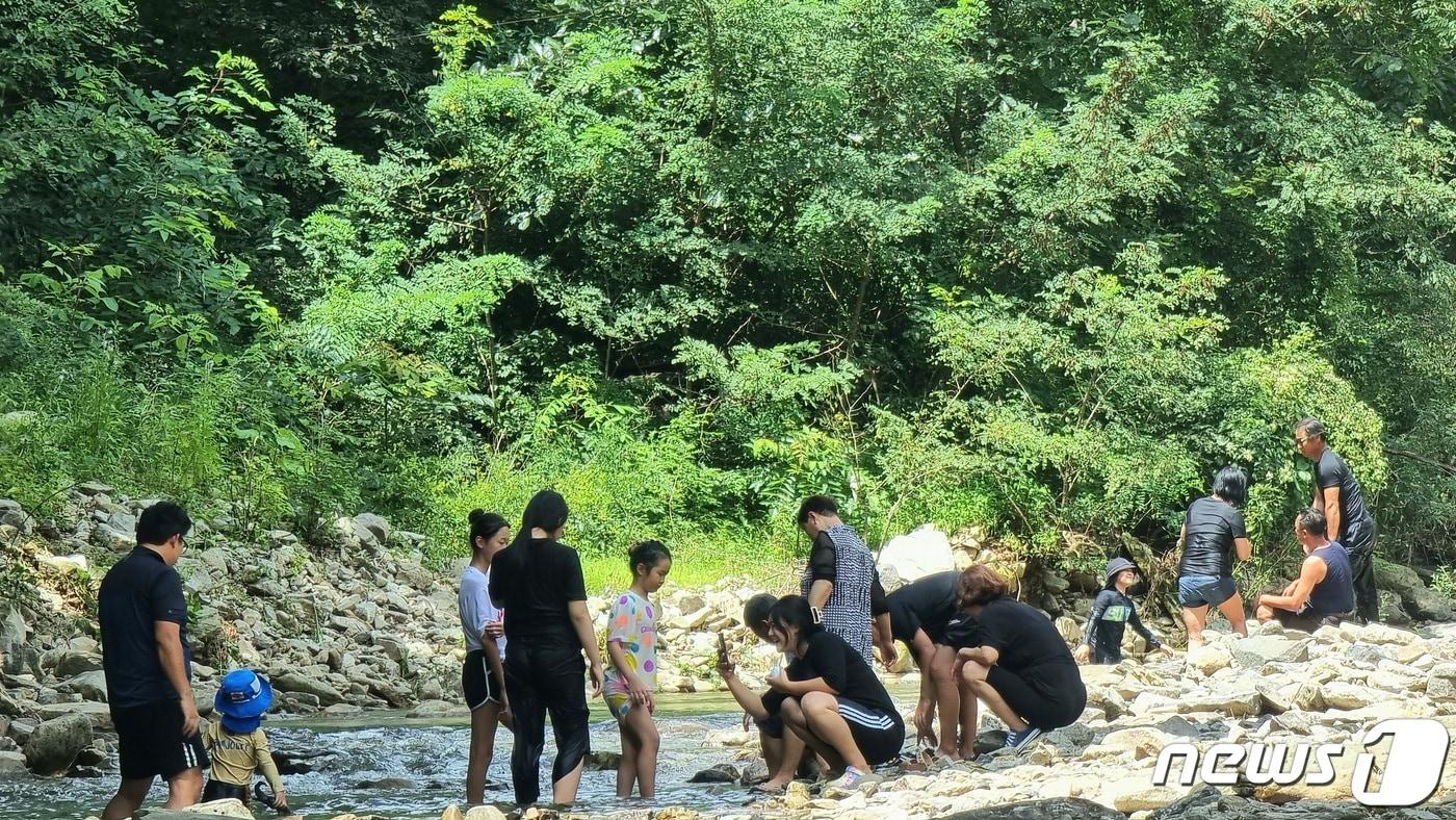 본문 이미지 - 21일 오후 폭염주의보가 내려진 전북 완주군 소양면의 한 계곡에서 피서객들이 물놀이를 즐기고 있다.2022.8.21/뉴스1