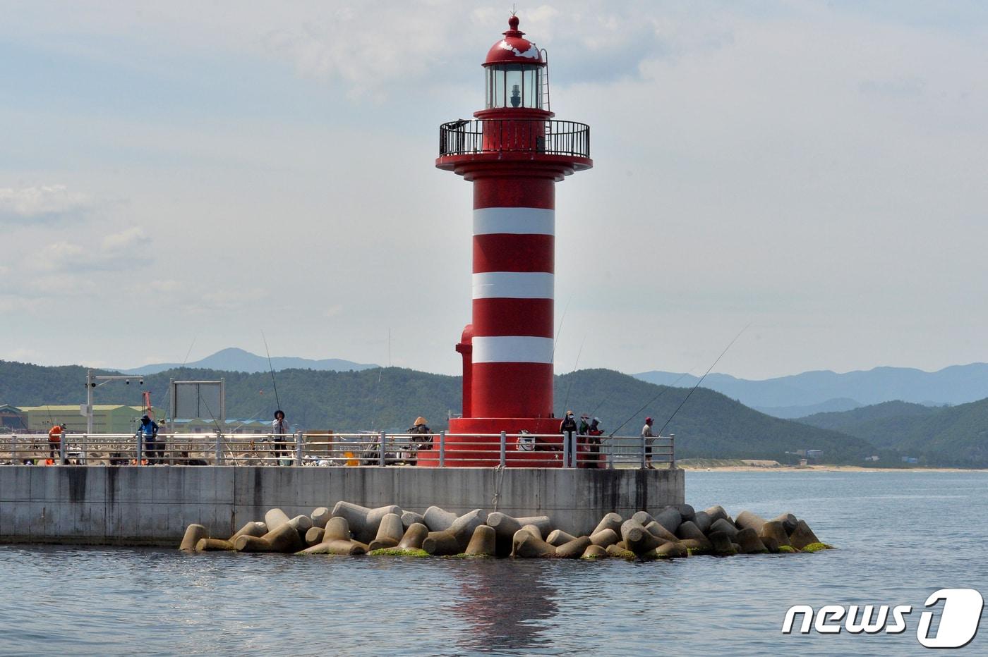 방파제에서 강태공들이 낚시를 하고 있다.(자료사진)/뉴스1 ⓒ News1