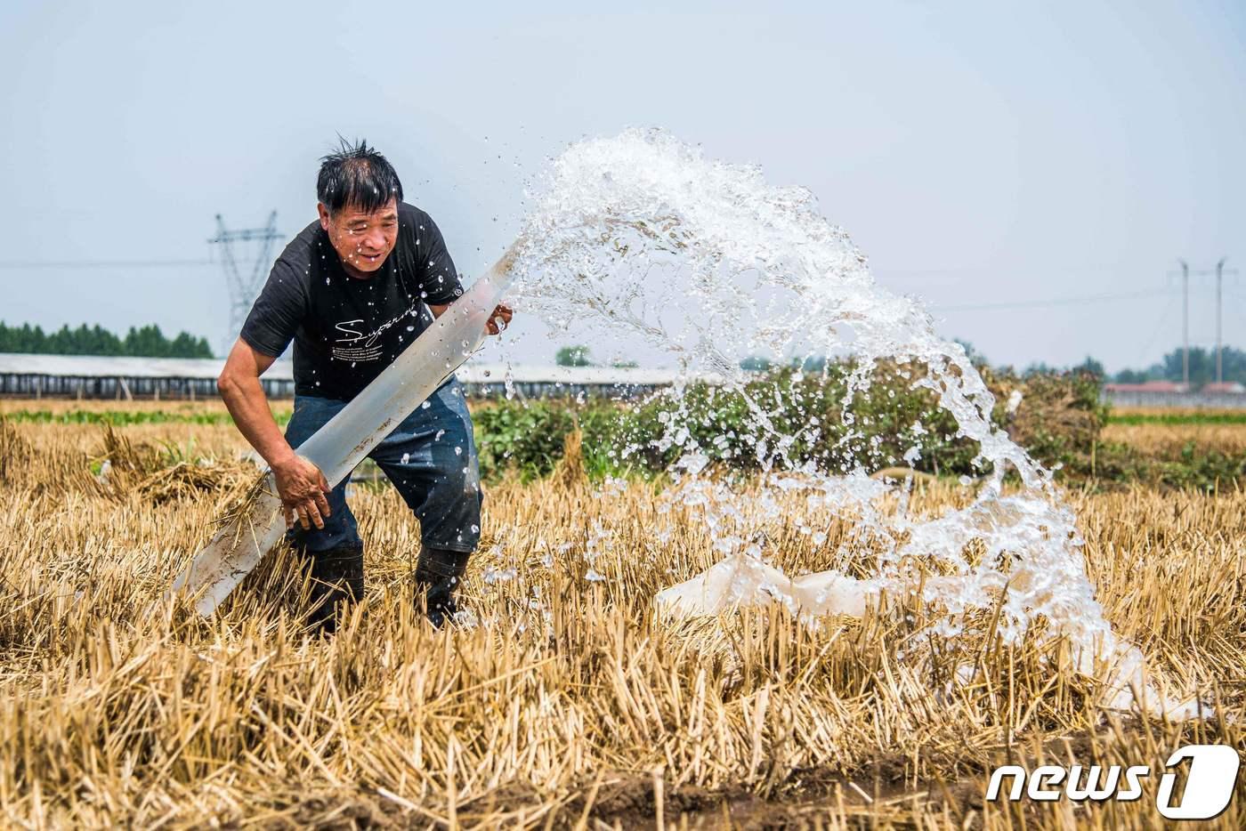 본문 이미지 - 기록적인 폭염으로 중국 전역이 심각한 가뭄으로 몸살을 앓고 있는 가운데, 통상 기온이 낮은 티베트 고원까지 열기에 휩싸였다고 AFP통신은 25일 한 공식 데이터를 인용해 보도했다. ⓒ AFP=뉴스1 ⓒ News1 이서영 기자