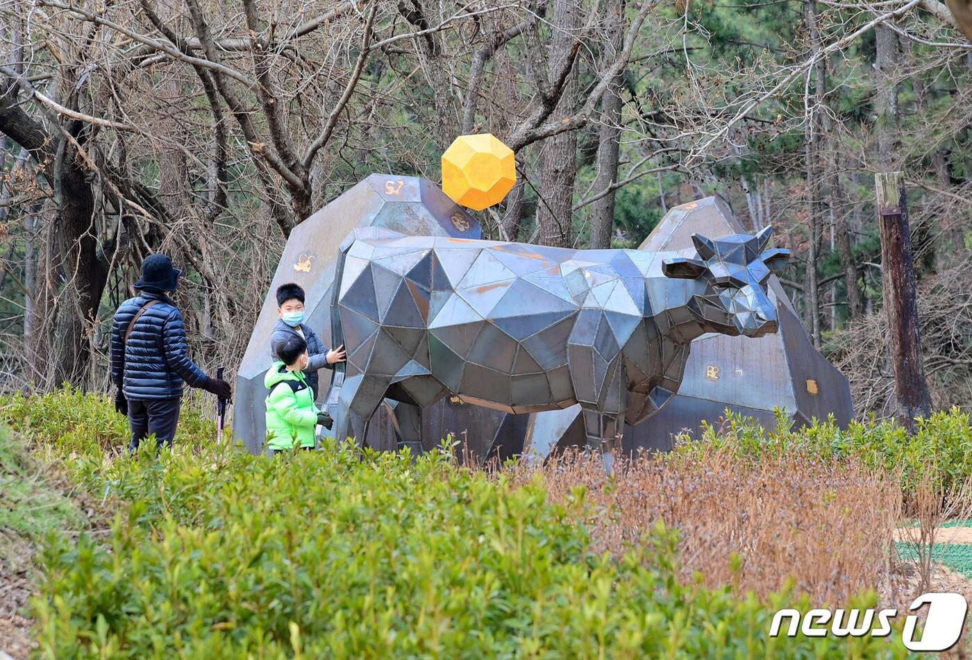 본문 이미지 - 부산 해운대구 와우산.(해운대구 제공) 
