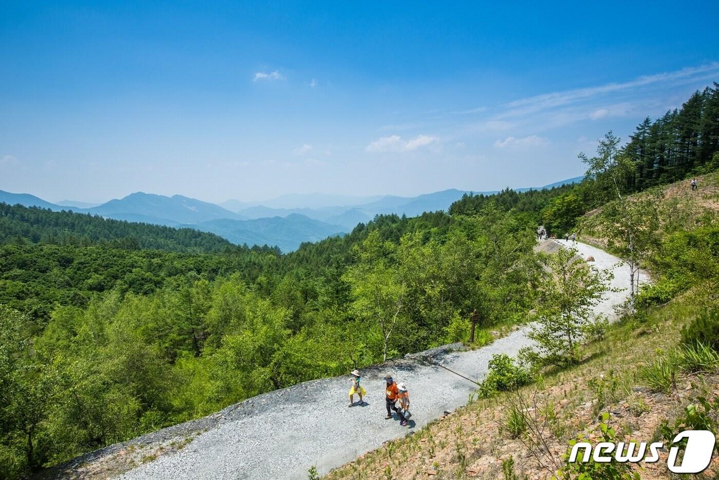 강원 정선 하이원리조트 하늘길 자료사진. (하이원리조트 제공) 2022.8.25/뉴스1
