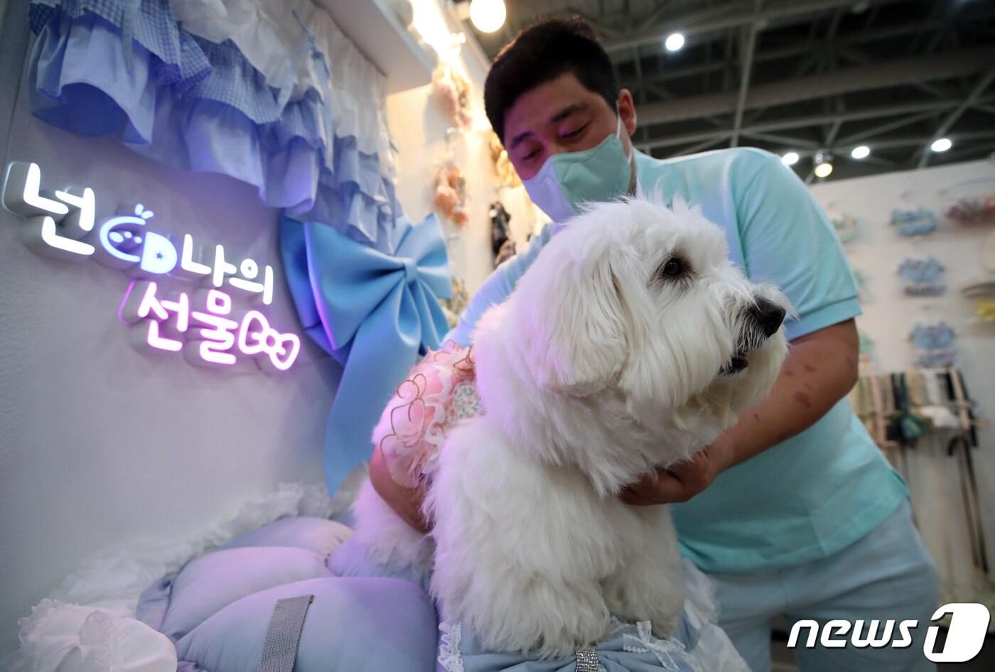 케이펫 박람회에서 보호자가 반려견에게 옷을 입혀보고 있다. 2022.8.28/뉴스1 ⓒ News1 정진욱 기자