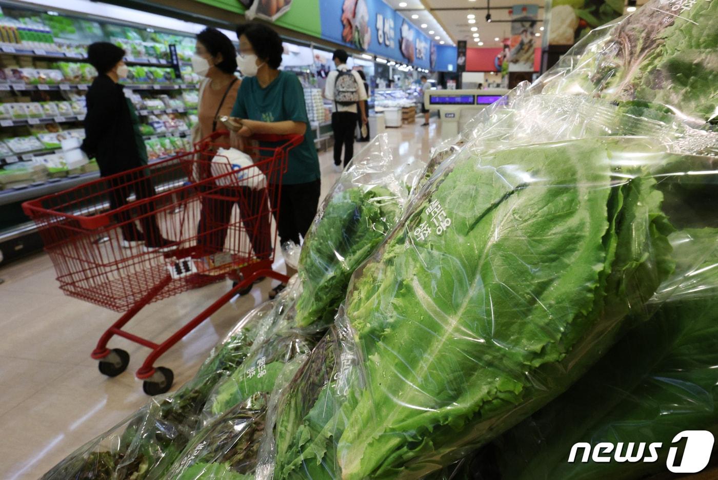 본문 이미지 - 이른 무더위와 장마로 배추와 오이 등 농산물 가격이 급등하고 있는 3일 서울의 한 대형마트에서 시민들이 장을 보고 있다. 이날 통계청이 발표한 '7월 소비자물가 동향'에 따르면 지난달 소비자물가상승률은 6.3%로 1998년 11월(6.8%) 이후 23년 8개월 만에 최대 오름폭을 보였다.2022.8.3/뉴스1 ⓒ News1 이광호 기자