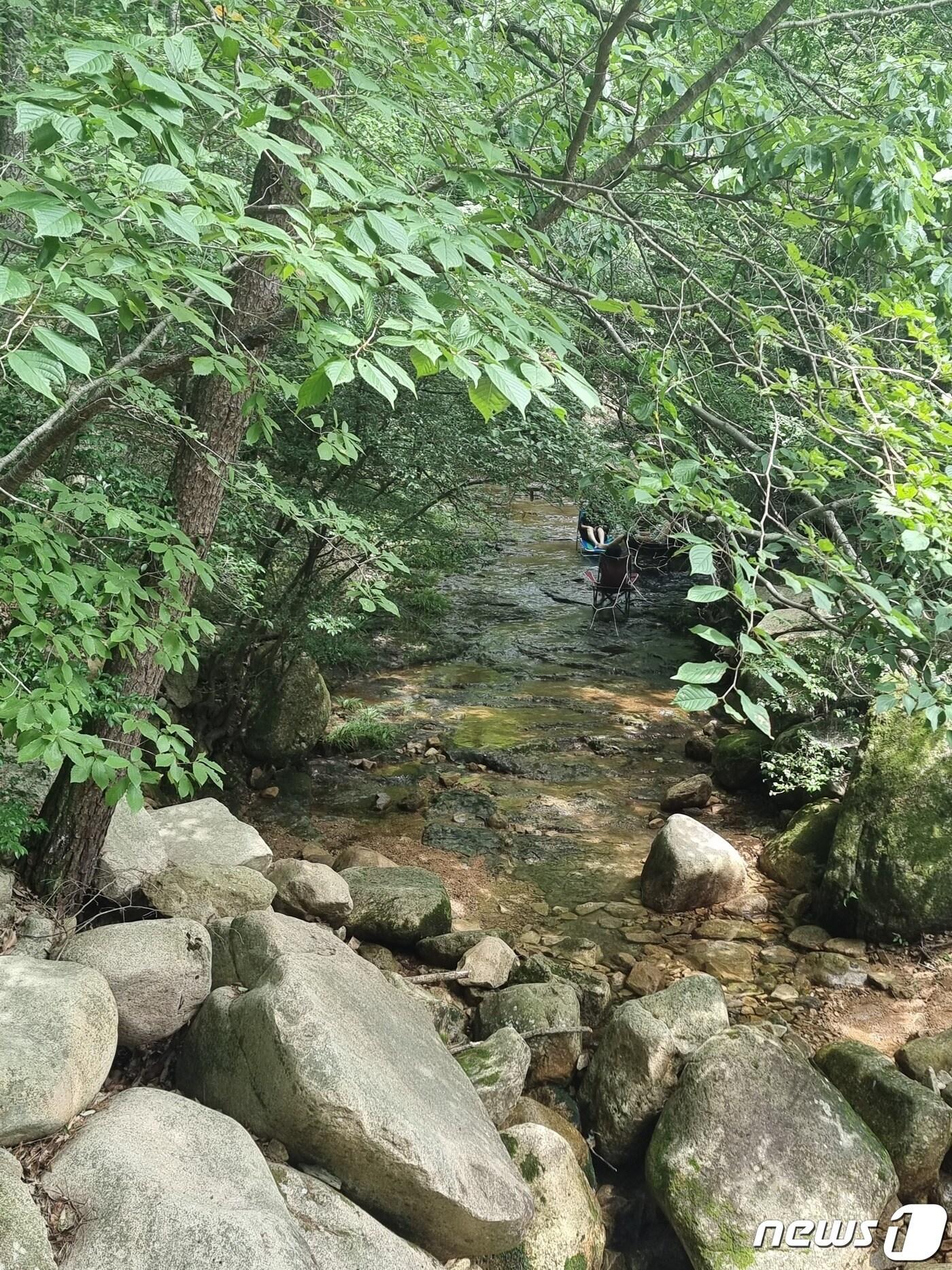 본문 이미지 - 월출산 경포대의 한적한 계곡. 물소리를 들으면 발담그기에 제격이다.ⓒ 뉴스1