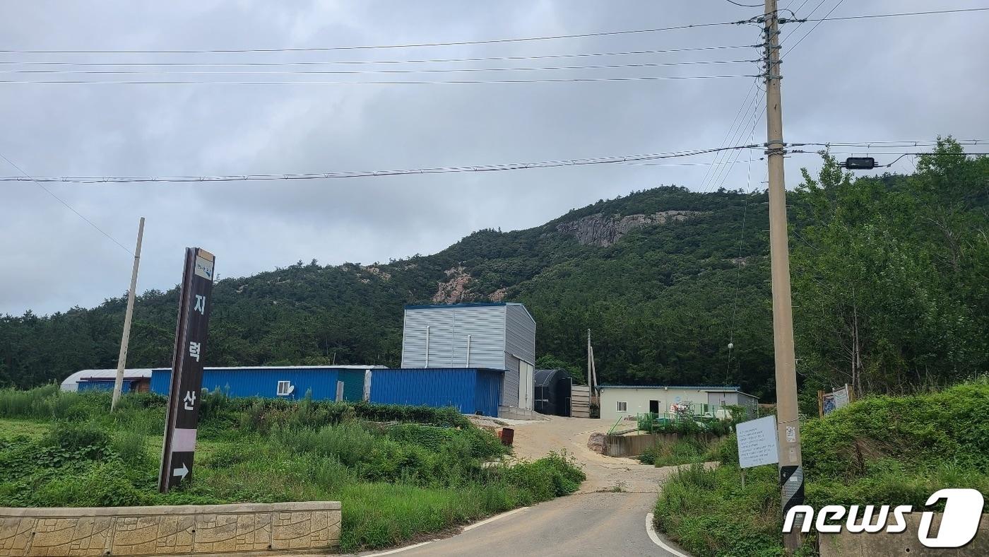 국방부가 레이더 부대를 창설할 예정인 진도군 지사면 지력산. 산 정상이 325m높이에 불과하다. ⓒ News1 