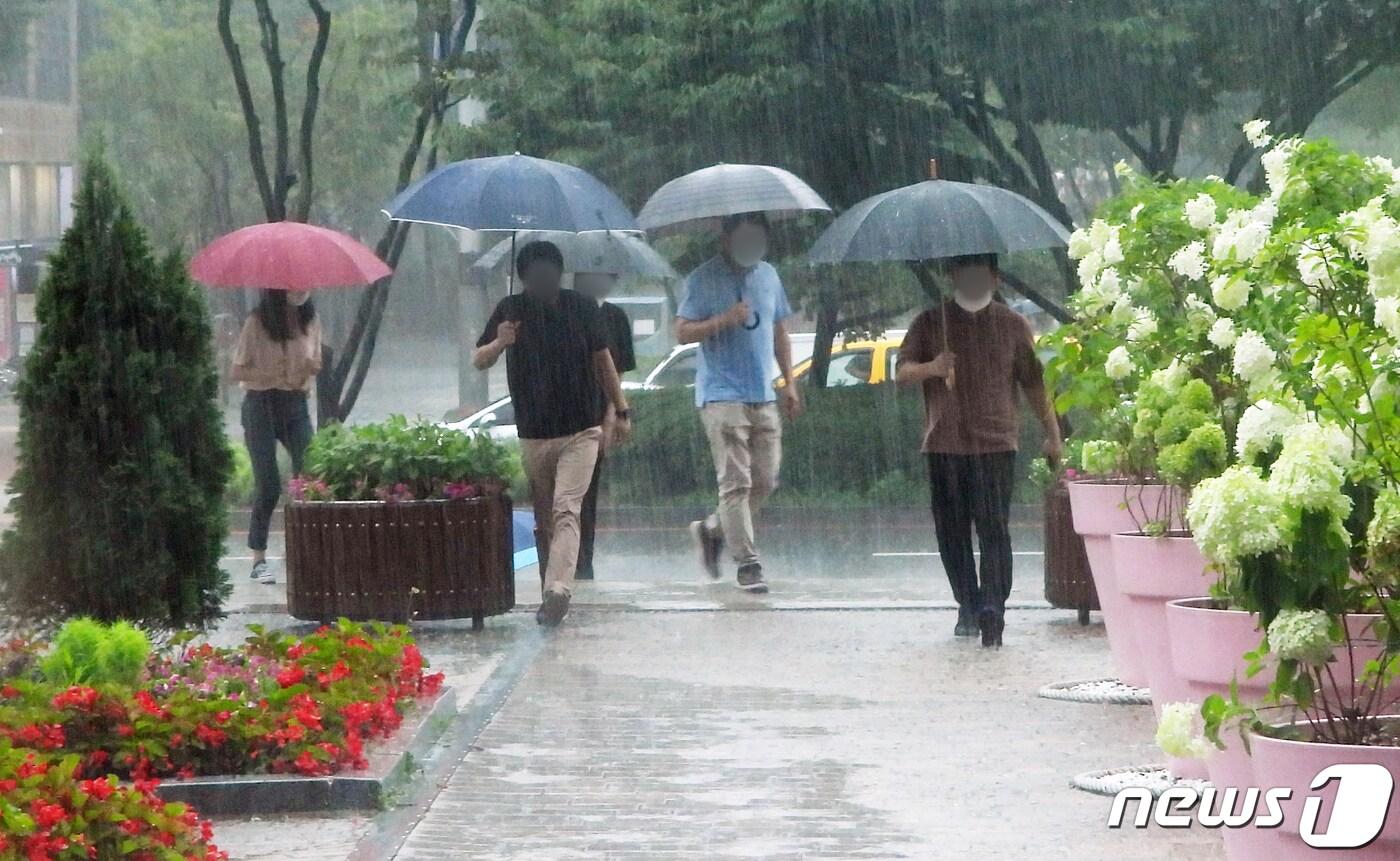 비 내리는 거리. ⓒ News1