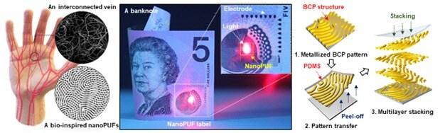 본문 이미지 - 무작위 형태의 블록공중합체 자기조립 패턴을 적용해 지문 모양의 나노 패턴의 형성 과정을 보여주는 모식도(KAIST 제공) ⓒ 뉴스1