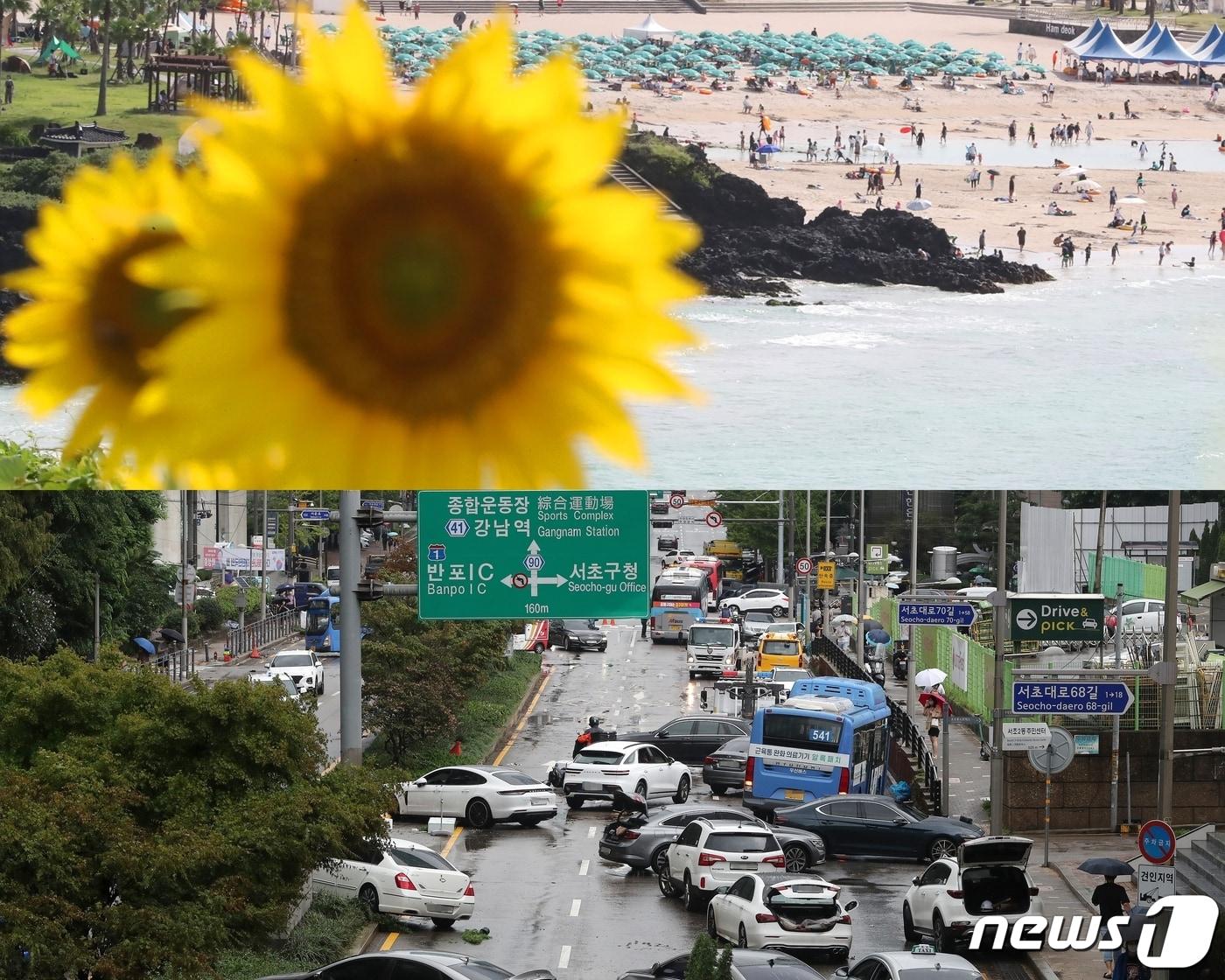 본문 이미지 - 제주지역에 폭염특보가 발효 중인 9일 오후 제주시 조천읍 서우봉에 활짝 핀 해바라기 뒤로 함덕해수욕장에서 피서객들이 물놀이를 즐기고 있다.(아래) 중부지방을 중심으로 폭우 피해가 발생한 9일 서울 서초구 서초대로 일대에 고립됐던 차량들이 뒤엉켜 있다.(아래) 2022.8.9/뉴스1 ⓒ News1 임세영 기자