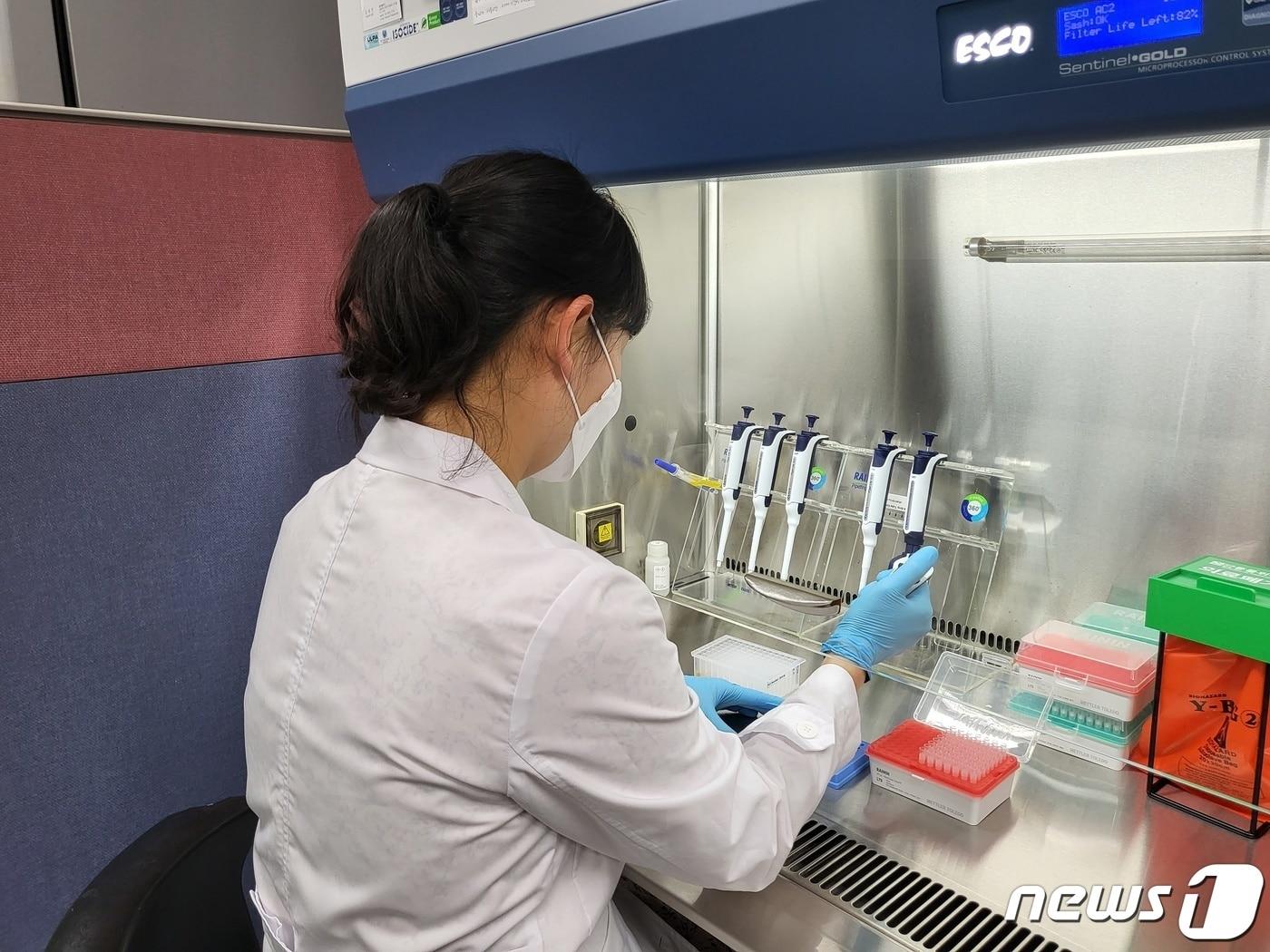 본문 이미지 - 전남동물위생시험소에서 가금류와 관련된 질병검사를 진행하고 있는 모습.(전남도 제공. 재판매 및 DB금지) ⓒ 뉴스1DB