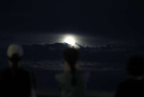 본문 이미지 - 자료사진/뉴스1