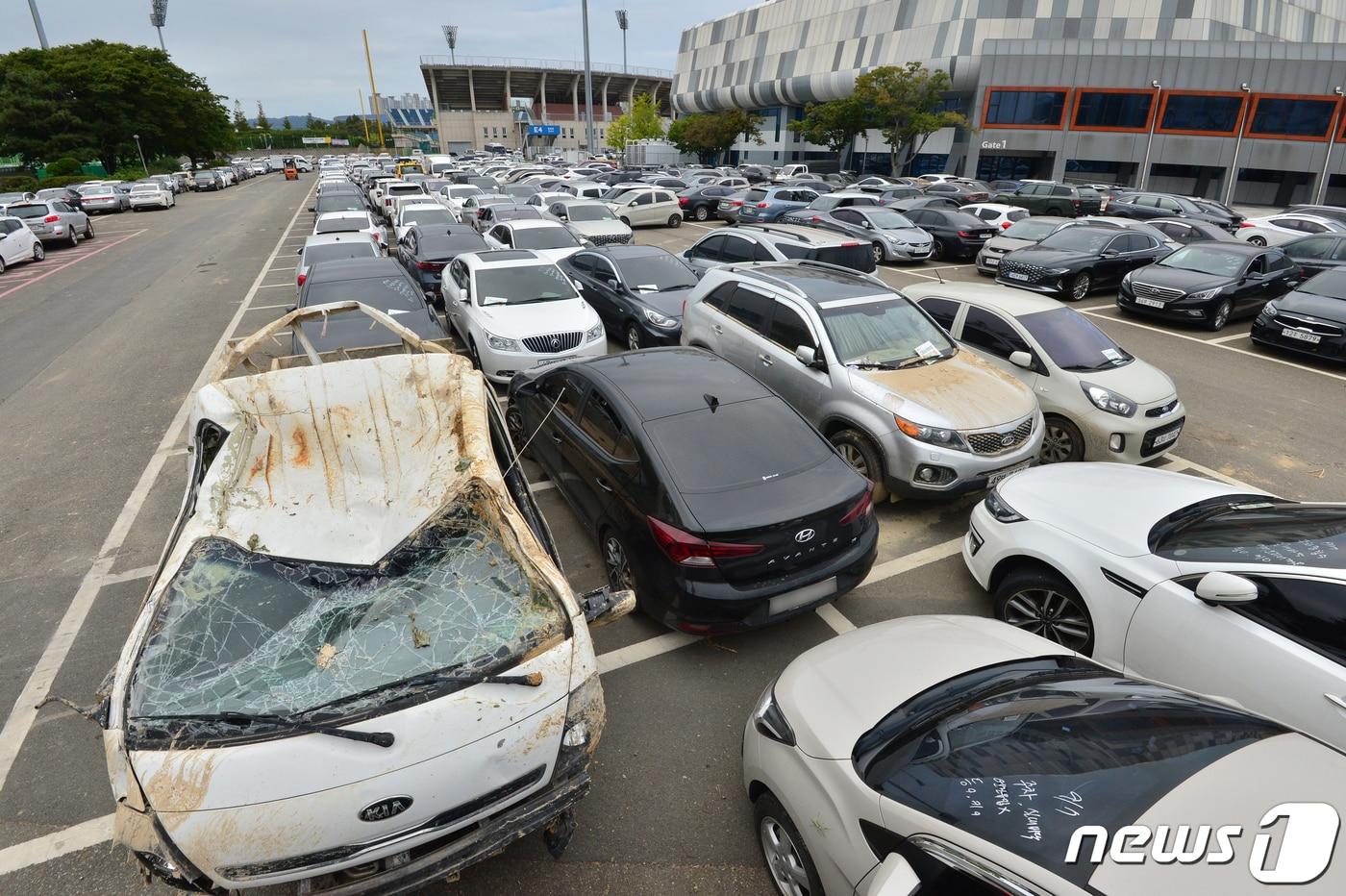 본문 이미지 - 태풍 힌남노 피해지역인 경북 포항시 남구 포항실내체육관 주차장 등에 침수 피해를 입은 차량들이 주차돼 있다. 2022.9.12/뉴스1 ⓒ News1 최창호 기자