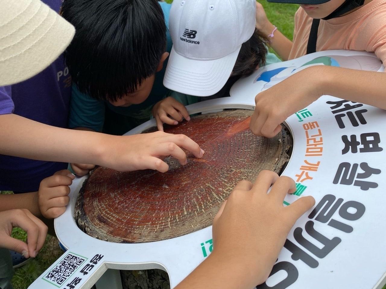 본문 이미지 - 두나무 그린리더에 참여한 학생들이 숲체원에 있는 나무테를 보며 나무의 나이에 따른 탄소 흡수량을 계산하고 있다 (두나무 제공) 2022.09.13 /뉴스1