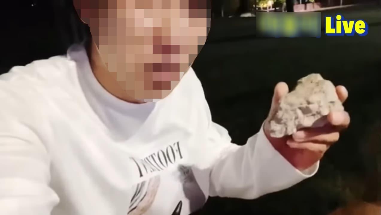 본문 이미지 - 수리부엉이가 고양이를 위협한다고 판단한 유튜버가 짱돌로 수리부엉이를 쫓아냈다고 밝혔다. (유튜브 갈무리)