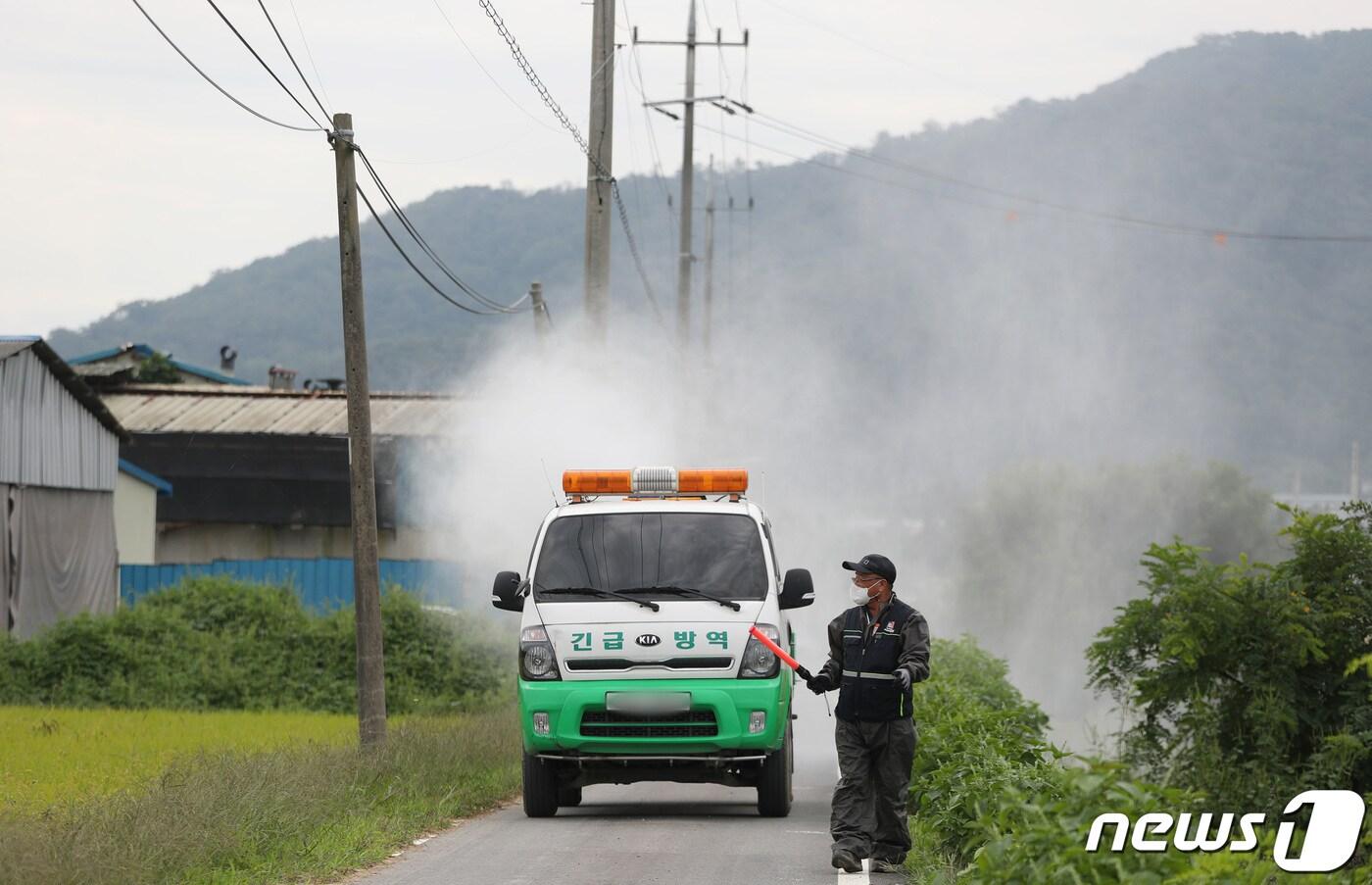 본문 이미지 - 경기 안성시 일죽면의 한 양돈농장에서 안성시 방역관계자들이 방역작업을 하고 있다. (사진은 기사 내용과 무관함) / 뉴스1 ⓒ News1