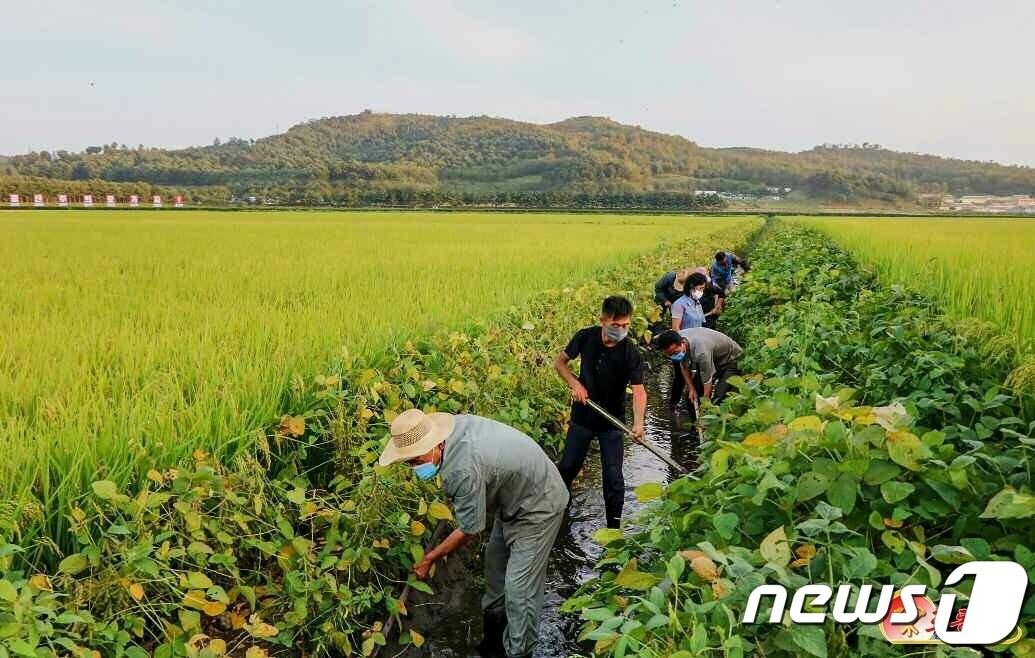 본문 이미지 - (평양 노동신문=뉴스1) = 북한 노동당 기관지 노동신문은 14일 제12호 태풍 무이파와 제13호 태풍 므르복의 발생을 언급하며 재해성 기후에 대한 대책 마련을 강조했다. 신문은 "인민경제 모든 부문과 단위의 일꾼들과 근로자들은 가을철에도 재해성 기후가 계속된다는 것을 명심하고 항상 각성하여 고도의 긴장 상태를 견지해야 한다"라고 주장했다. [국내에서만 사용가능. 재배포 금지. DB 금지. For Use Only in the Republic of Korea. Redistribution Prohibited] rodongphoto@news1.kr