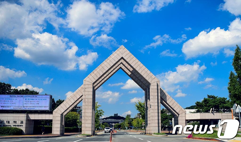 본문 이미지 - 충남대를 비롯한 충청권 국립대 교직원들의 도덕적 해이가 교육·연구비 및 학생지도비 지급 실태에 대한 교육부 감사를 통해 드러났다. /뉴스1