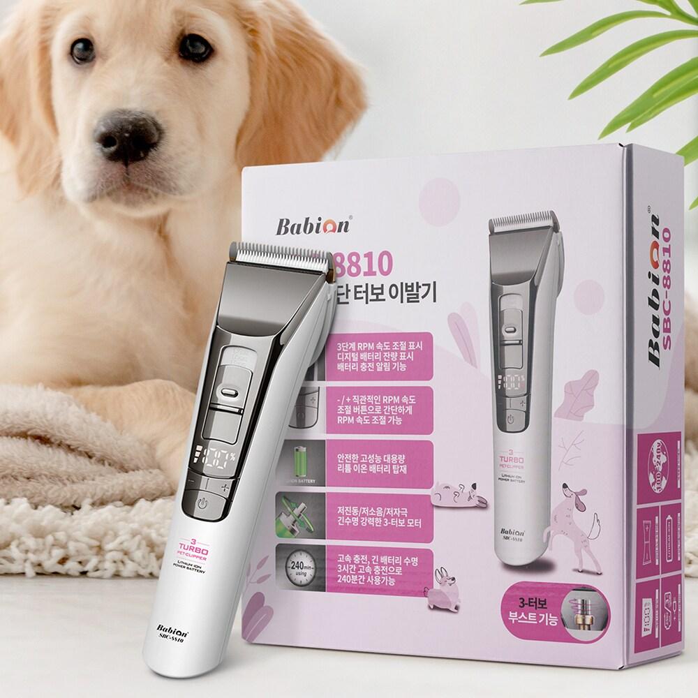 본문 이미지 - 바비온 제공