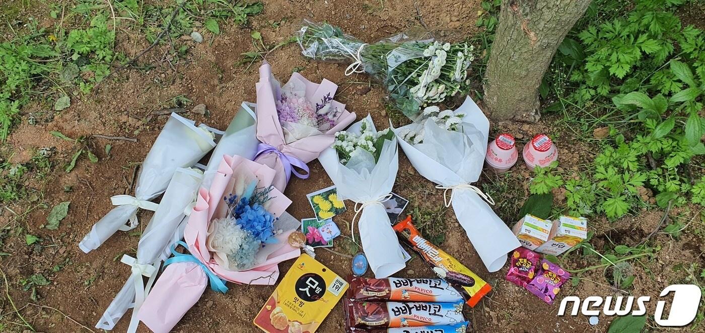 성범죄를 당한 뒤 지난해 5월12일 극단적인 선택을 한 청주 여중생 2명이 처음 발견된 곳에 국화 꽃다발 등이 놓여있는 모습./ⓒ 뉴스1 조준영 기자
