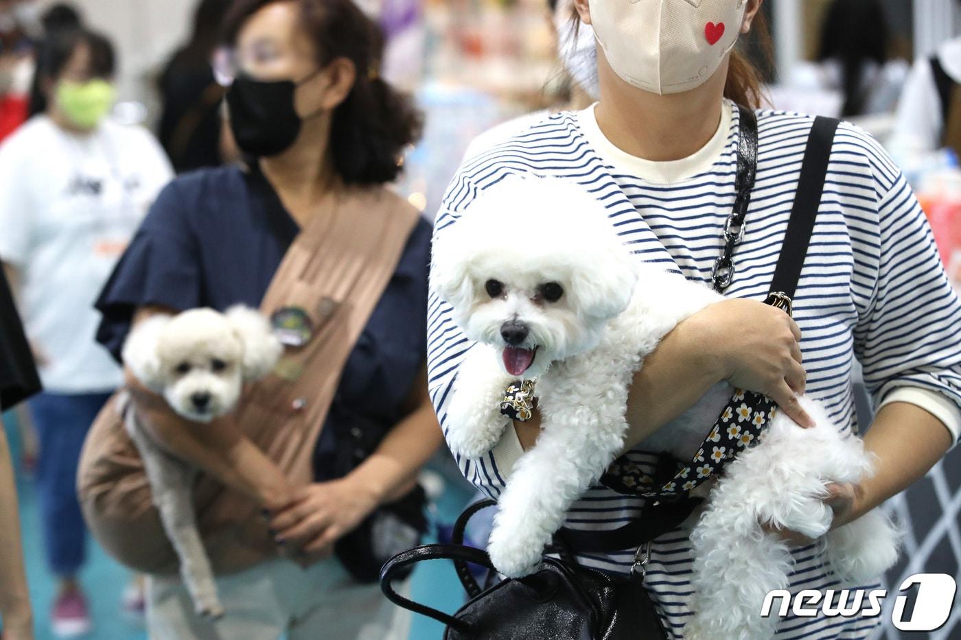 16일 서울 강남구 세텍에서 열린 '2022 서울펫쇼에서 반려견과 함께 행사장을 찾은 방문객들이 반려동물용품을 살펴보고 있다. 2022.9.16/뉴스1 ⓒ News1 임세영 기자