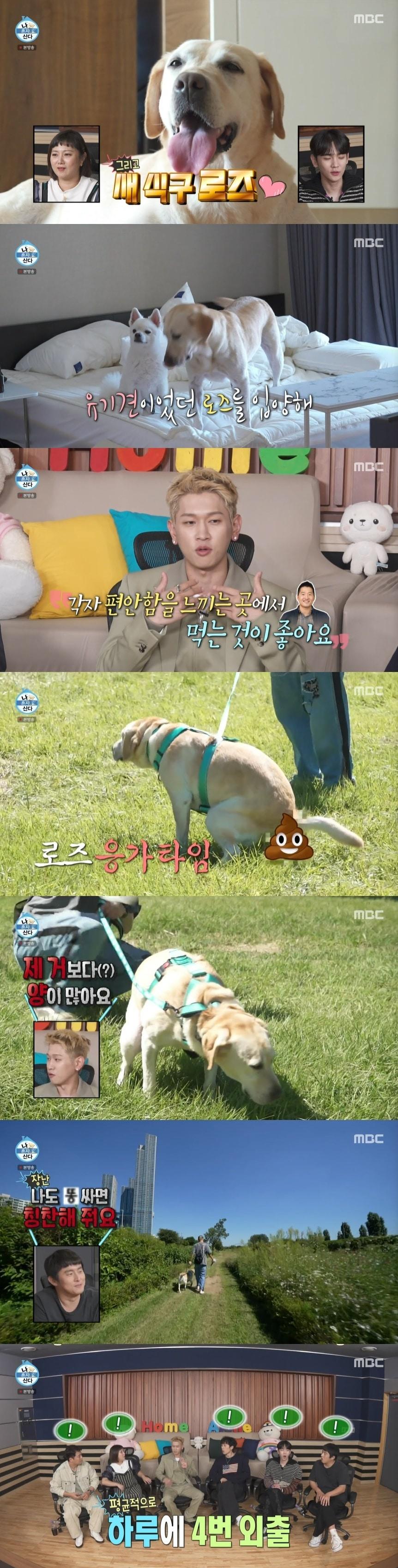 본문 이미지 - MBC '나 혼자 산다' 캡처