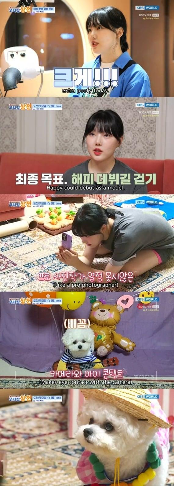 본문 이미지 - KBS WORLD '우리집 상전' 캡처