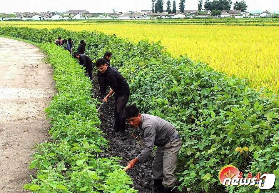 본문 이미지 - (평양 노동신문=뉴스1) = 북한 노동당 기관지 노동신문은 17일 재해성 기상 현상에 계속 철저히 대처하라고 강조했다. 신문은 "하늘의 변덕이 아무리 심해도 높은 위기대응 의식을 지니고 강력히 대처할 때 얼마든지 이겨낼수 있다＂라고 말했다. 사진은 황해남도. [국내에서만 사용가능. 재배포 금지. DB 금지. For Use Only in the Republic of Korea. Redistribution Prohibited] rodongphoto@news1.kr