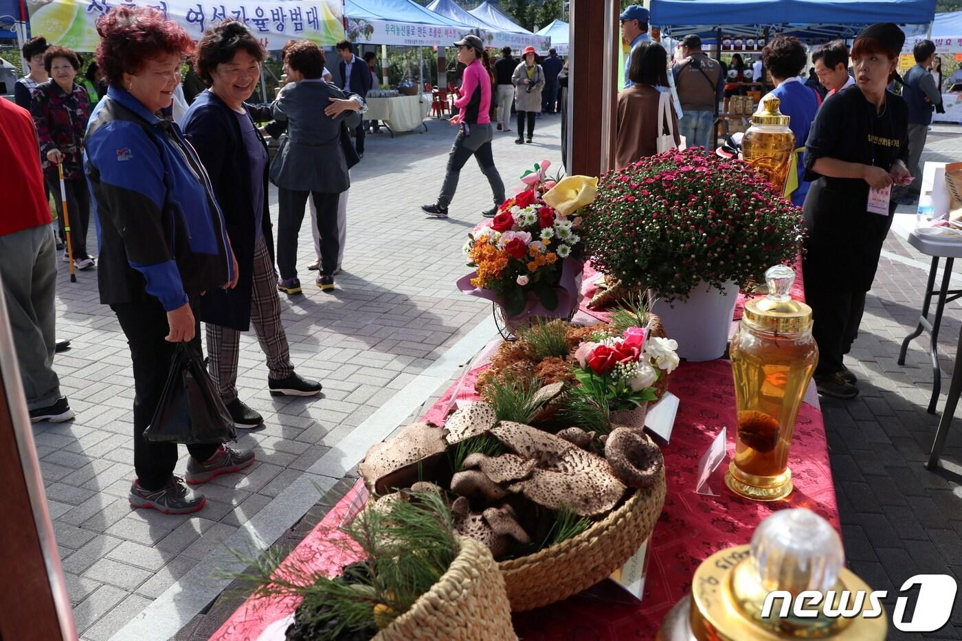 본문 이미지 - 코로나19 발생 이전 영동군 '상촌 자연산버섯음식거리 축제' 모습. (영동군 제공) 