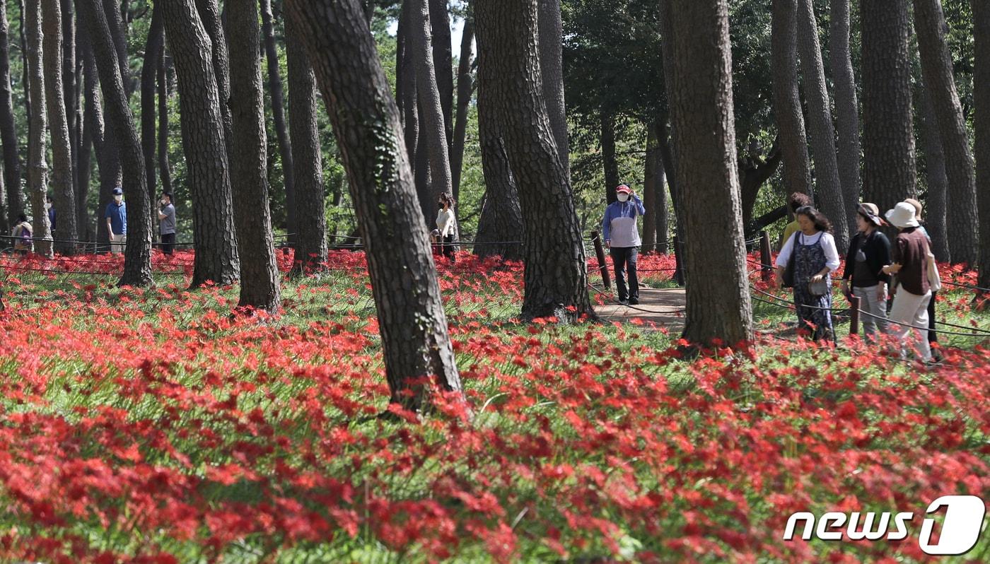 울산 동구 대왕암 공원. /뉴스1 ⓒ News1 DB