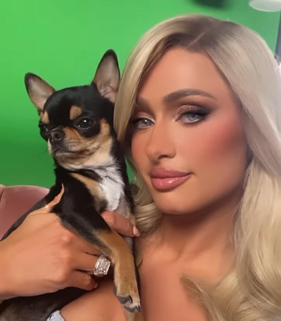 본문 이미지 - 패리스 힐튼과 실종된 반려견 '다이아몬드 베이비'. (패리스 힐튼 인스타그램)