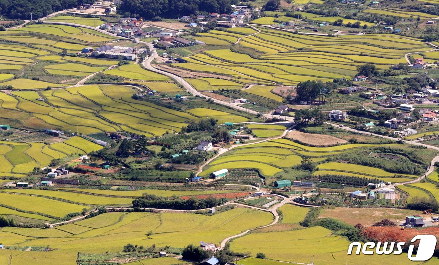 농촌 전경. 2202.9.23/뉴스1 ⓒ News1 윤일지 기자