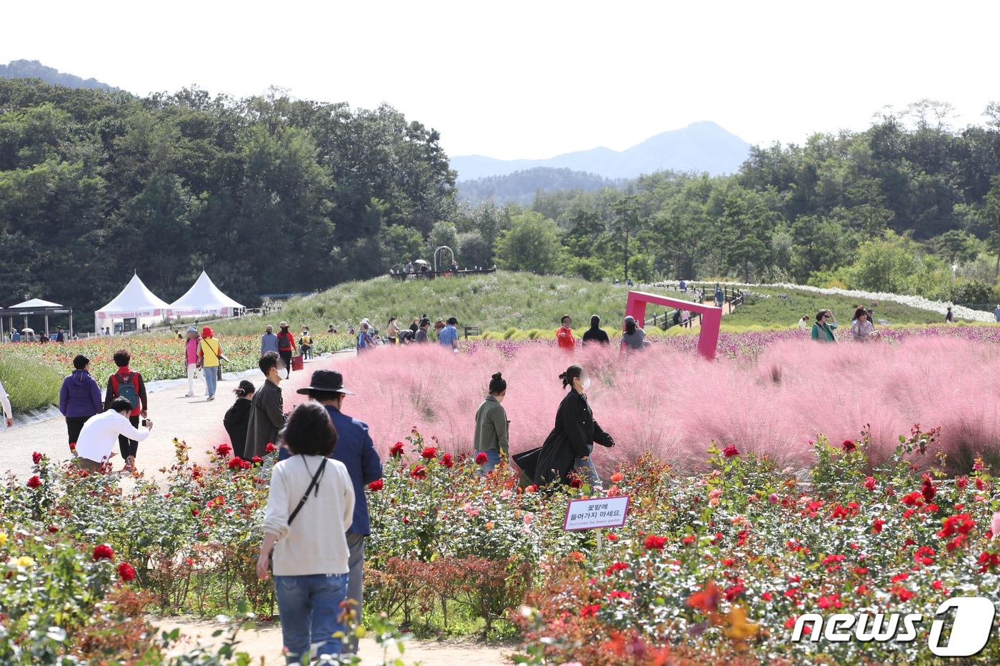 본문 이미지 - 경기도의 한 공원에서 나들이 객들이 즐거운 시간을 보내고 있다. /뉴스1 ⓒ News1 권현진 기자
