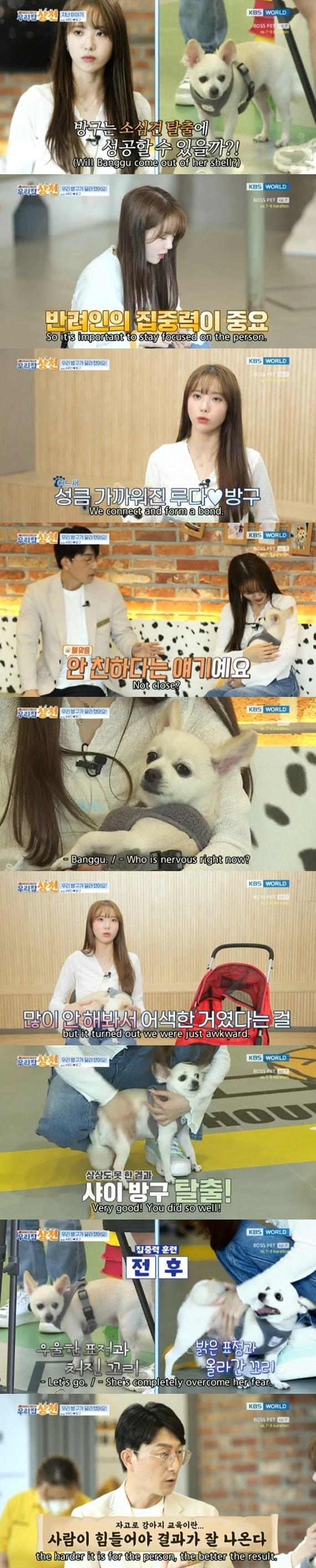 본문 이미지 - KBS WORLD '우리집 상전' 캡처