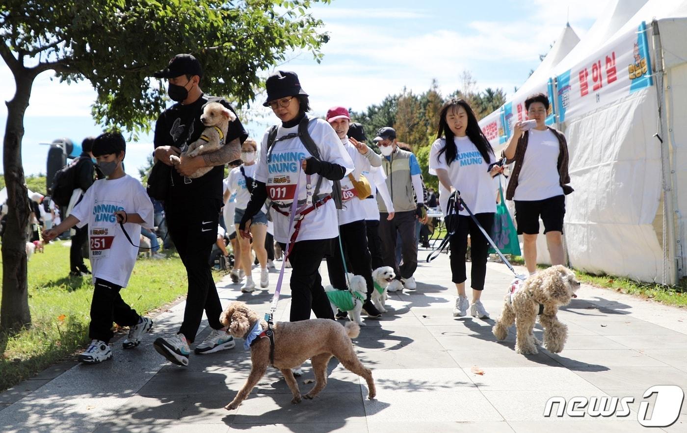 본문 이미지 - 24일 오후 제주시 시민복지타운에서 열린 2022 제주반려동물문화축제에서 반려견과 견주들이 걷기 대회를 하고 있다.2022.9.24/뉴스1 ⓒ News1 고동명 기자