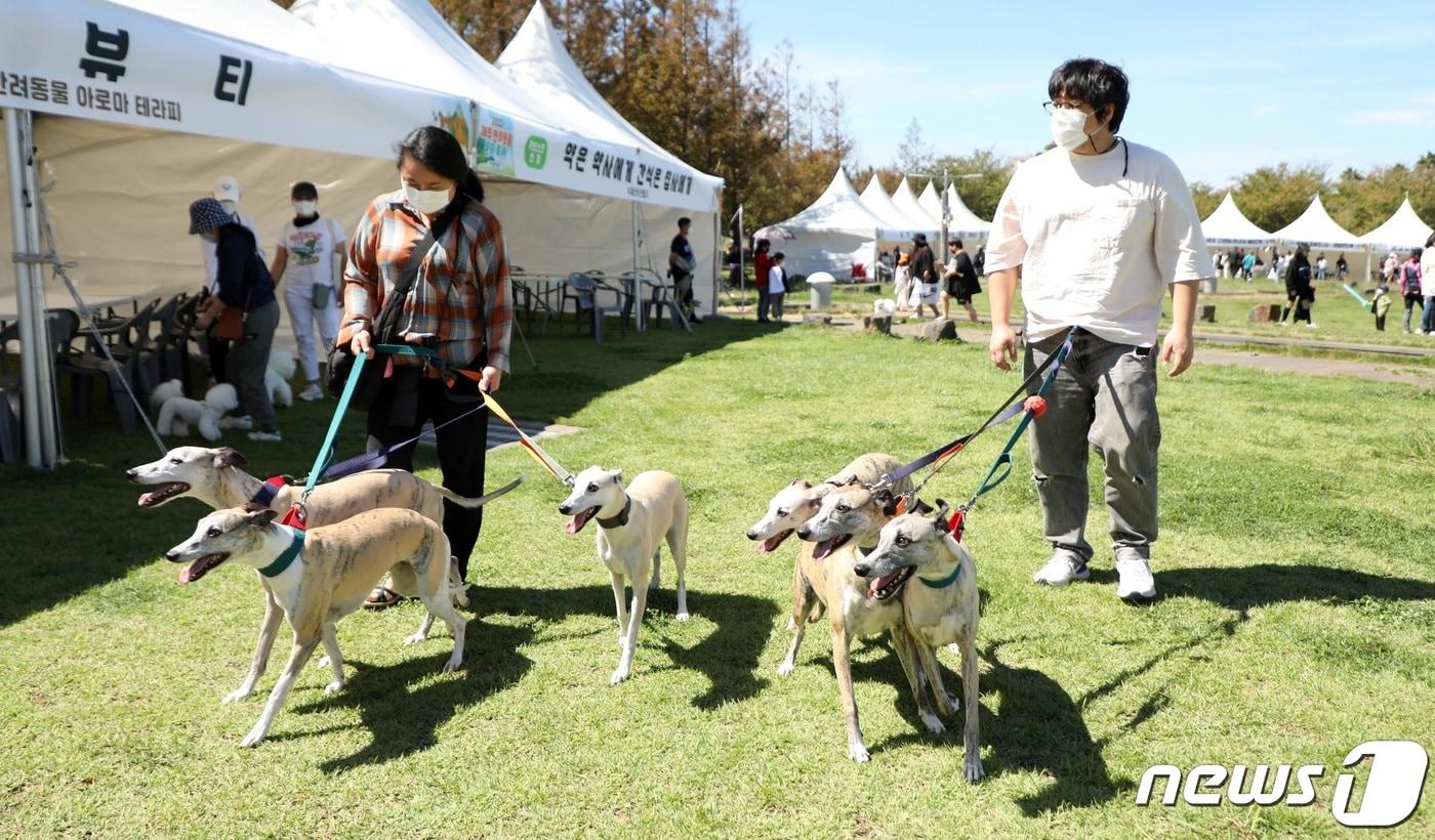 제주 반려동물 행사(자료사진)/뉴스1