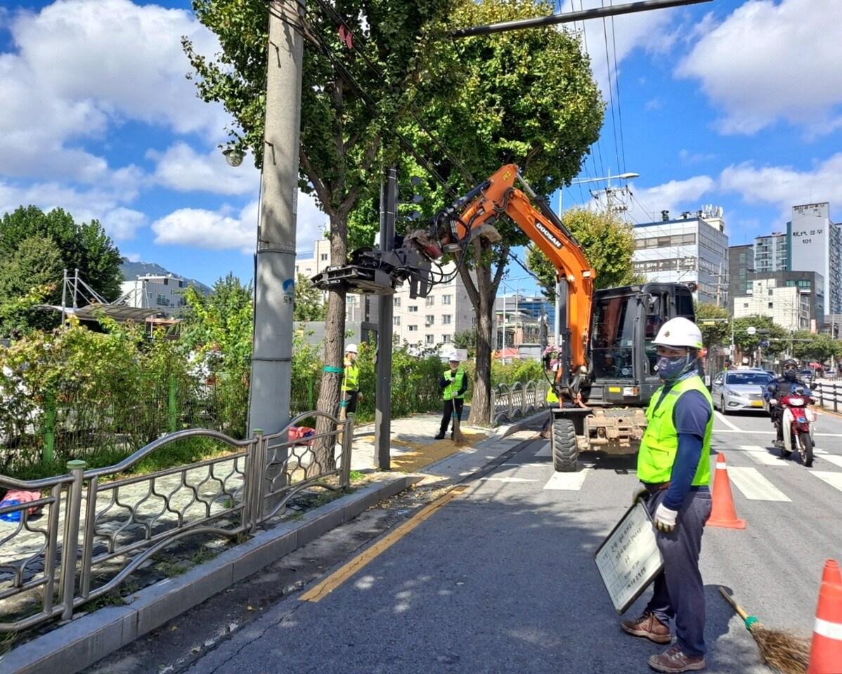 본문 이미지 - 은행열매 진동 수확기 가동 모습. (도봉구 제공)