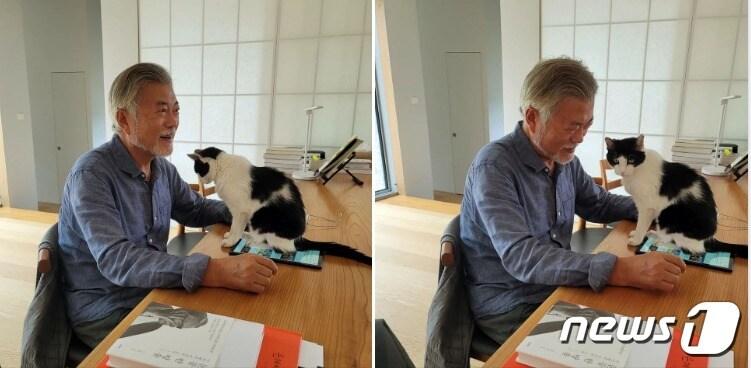 본문 이미지 - 문재인 전 대통령은 경남 양산 평산마을 사저에서 반려묘 찡찡이가 스마트폰을 쉼없이 누르는 바람에 트위터 '좋아요' 수치가 훌쩍 올라간 것 같다며  흐뭇해 하고 있다. (SNS 갈무리) ⓒ 뉴스1