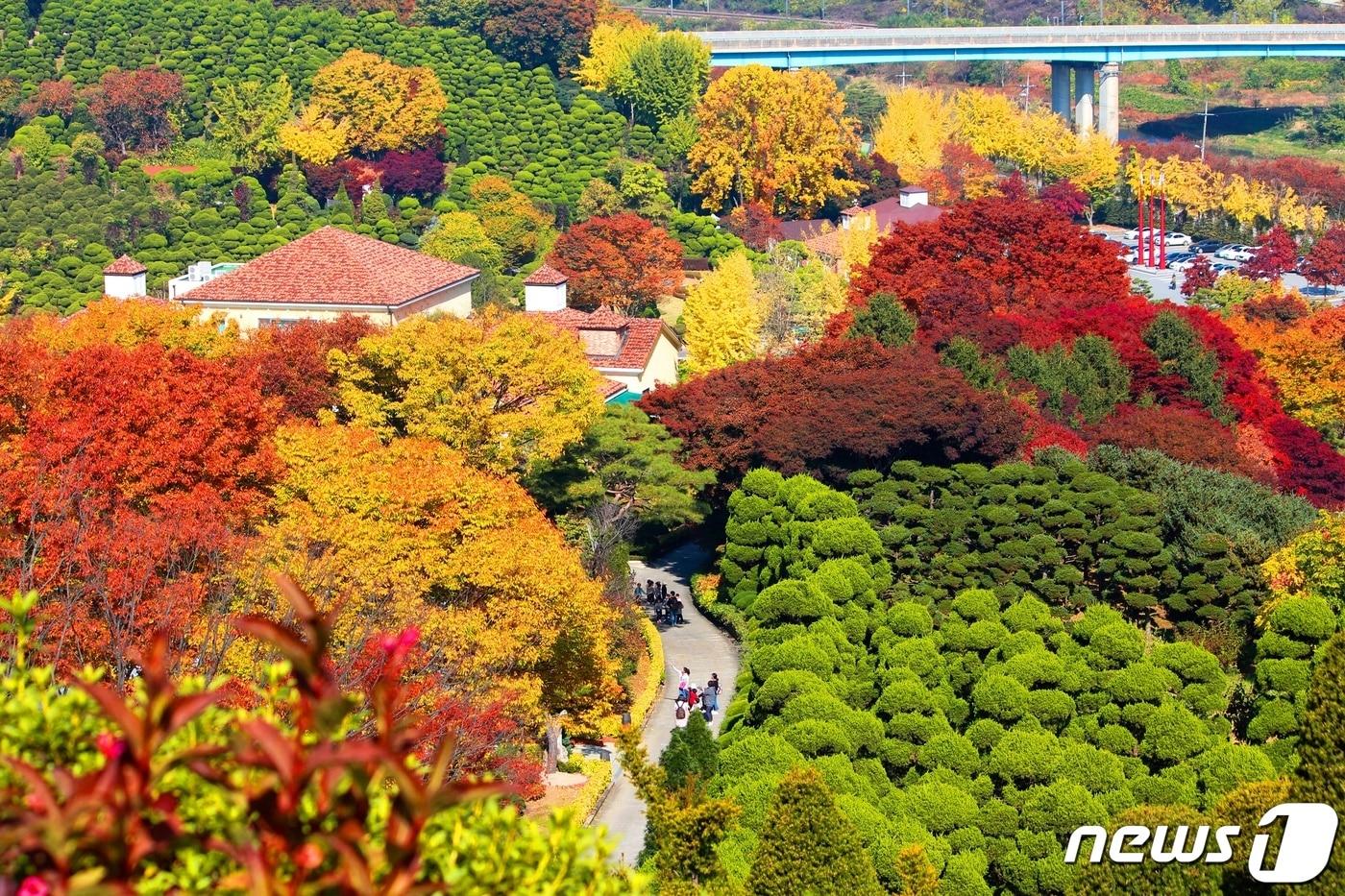 세종시 베어크리크 전경. (세종시 제공) / news1 