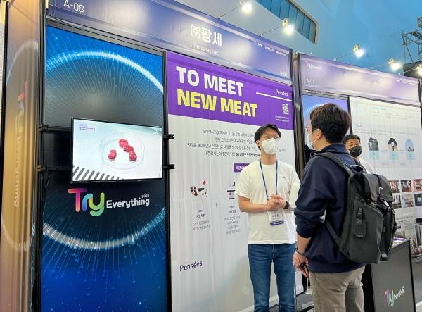 본문 이미지 - 팡세 제공