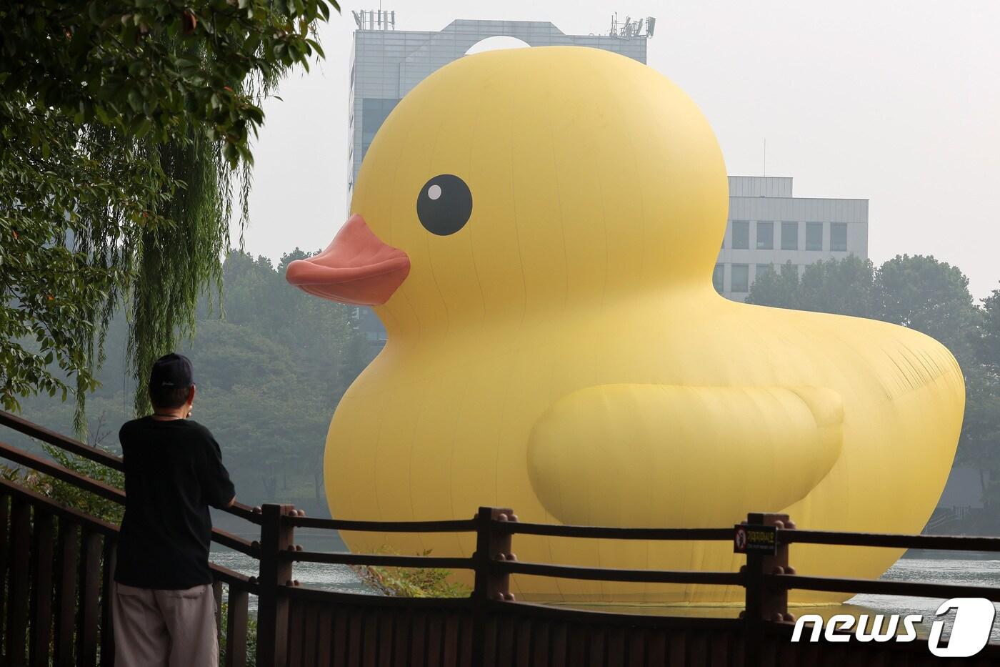 29일 서울 송파구 석촌호수에 대형 고무 오리 '러버덕(Rubber Duck)'이 떠 있다. 러버덕은 네덜란드 출신 ‘플로렌타인 호프만’ 작가의 대형 공공미술 프로젝트로, 현재까지 16년간 전 세계 16개국을 순회하며 25회 이상의 전시를 이어가고 있다. 2022.9.29/뉴스1 ⓒ News1 이동해 기자